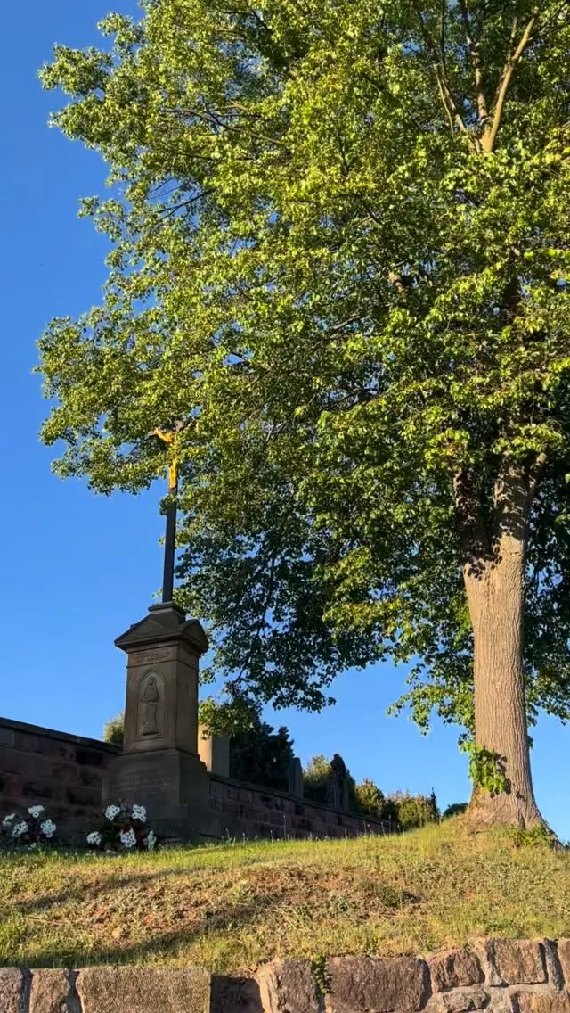 Ze svatebního portfolia: Svatba s Anet (2. fotografie)