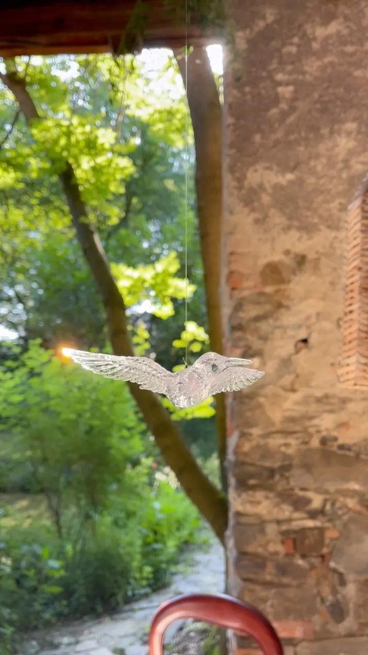 Z portfolia – Zámek Třebešice u Divišova (Svatba s Anet)