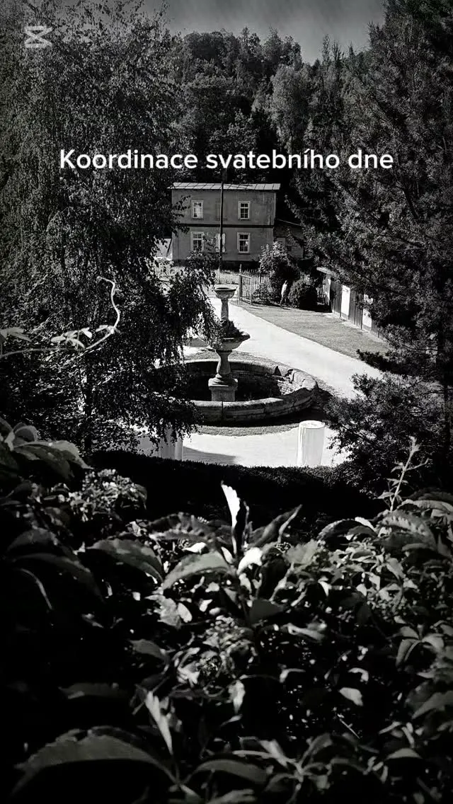 Ze svatebního portfolia: Svatba bez starostí (2. fotografie)