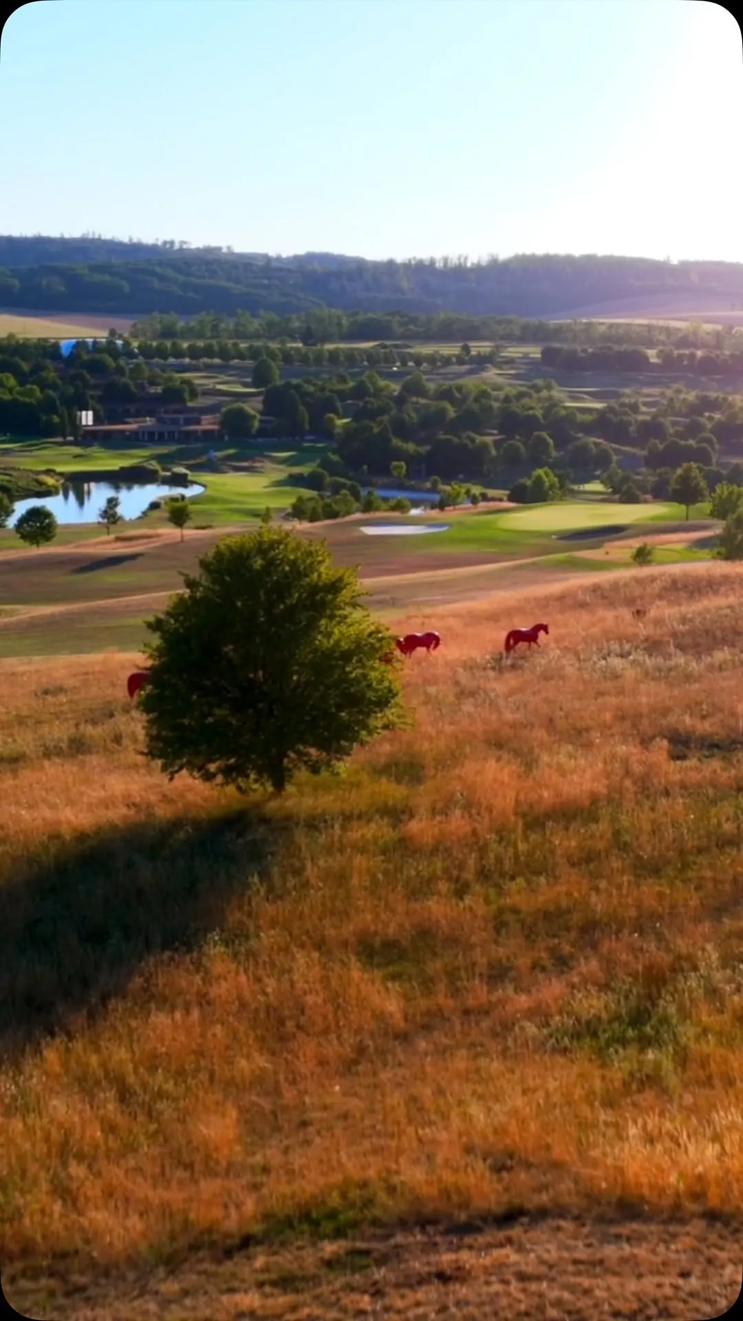Svatební místo – Golf Resort Kaskáda, Kuřim (2026, 2. fotografie)