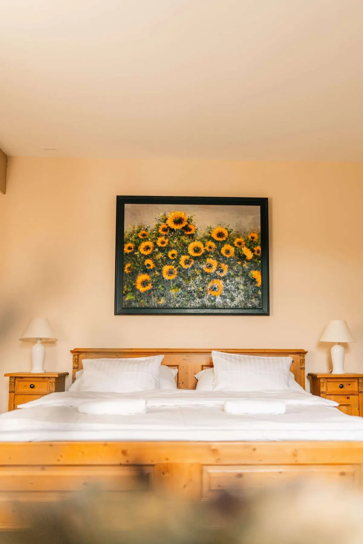 Ubytování – Hotel Leopold Račín (2. fotografie)